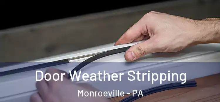 Door Weather Stripping Monroeville - PA