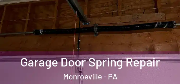  Garage Door Spring Repair Monroeville - PA