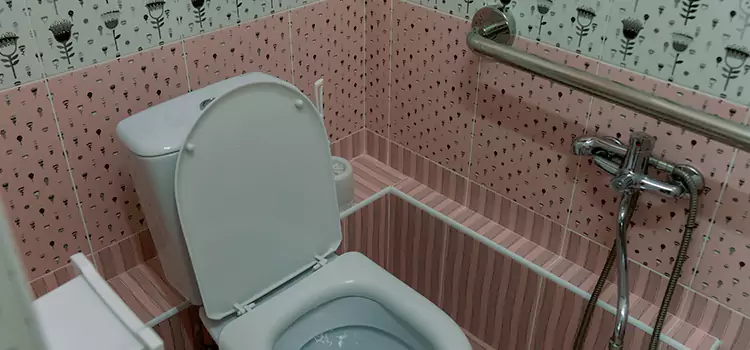 Meeting Diverse Needs With Accessible Restroom Solutions in Monroeville, PA