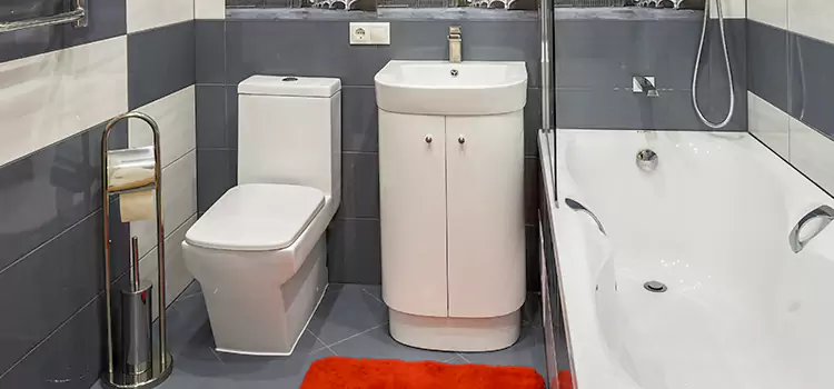 Hansgrohe Shaving Mirror Monroeville