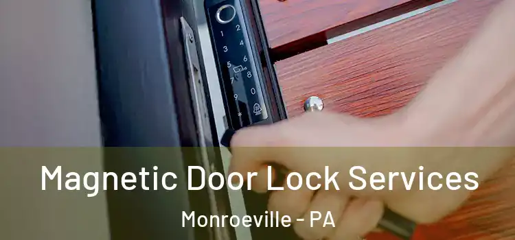 Magnetic Door Lock Services Monroeville - PA