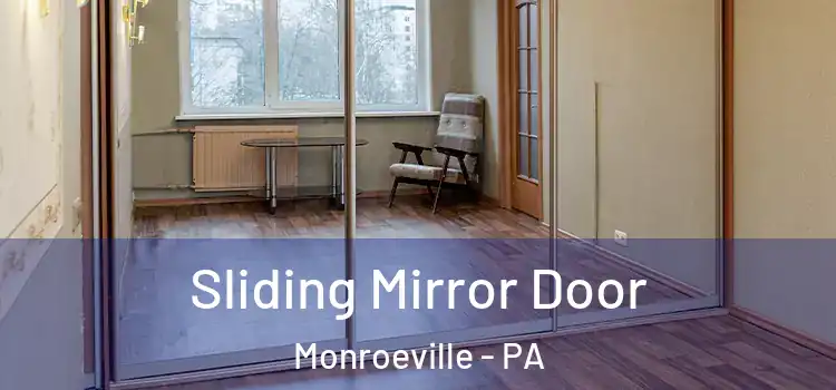  Sliding Mirror Door Monroeville - PA