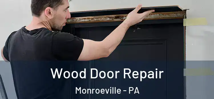 Wood Door Repair Monroeville - PA